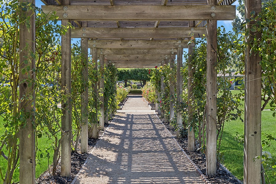 The Grove at Walnut Creek photo 4